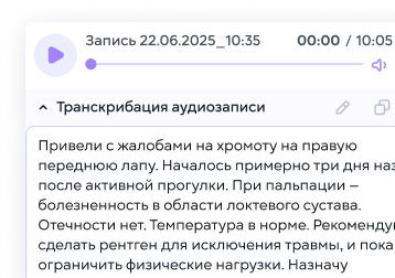 Аудиотранскрибация приемов